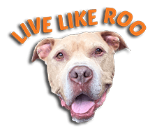 Live Like Roo